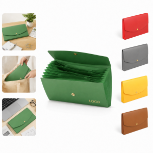 Expandable Accordion File Folder