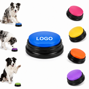 Recordable Voice Button
